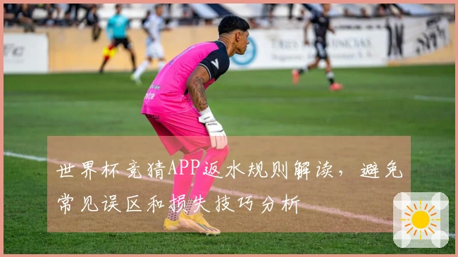 世界杯竞猜APP返水规则解读，避免常见误区和损失技巧分析