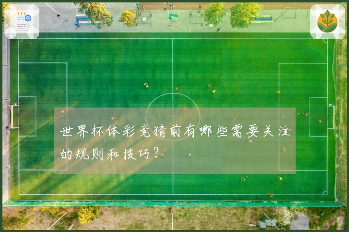 世界杯体彩竞猜前有哪些需要关注的规则和技巧？