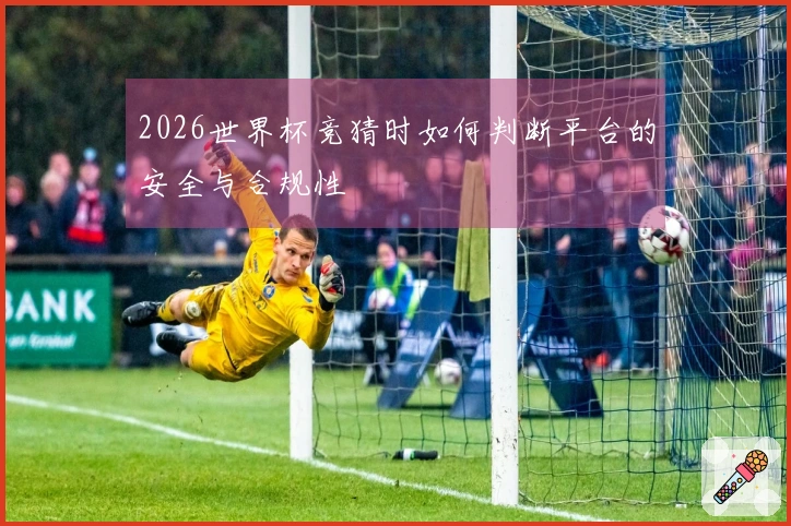 2026世界杯竞猜时如何判断平台的安全与合规性