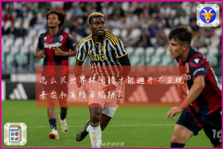怎么买世界杯竞猜才能避开不正规平台和高赔率陷阱？