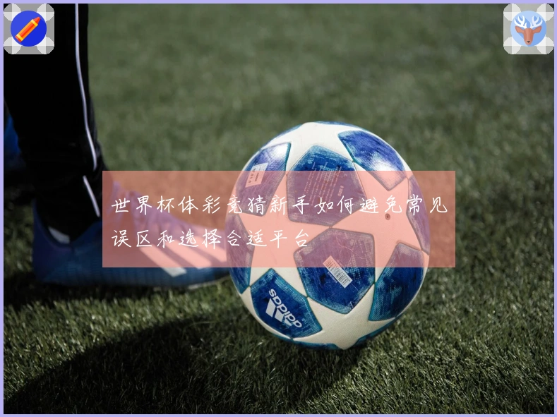 世界杯体彩竞猜新手如何避免常见误区和选择合适平台